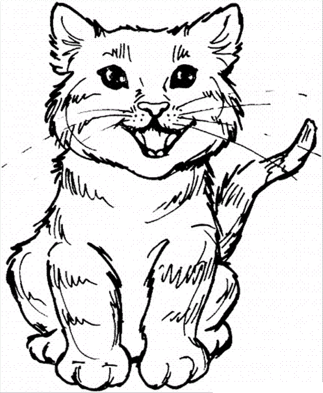 Big Cat coloring #1, Download drawings