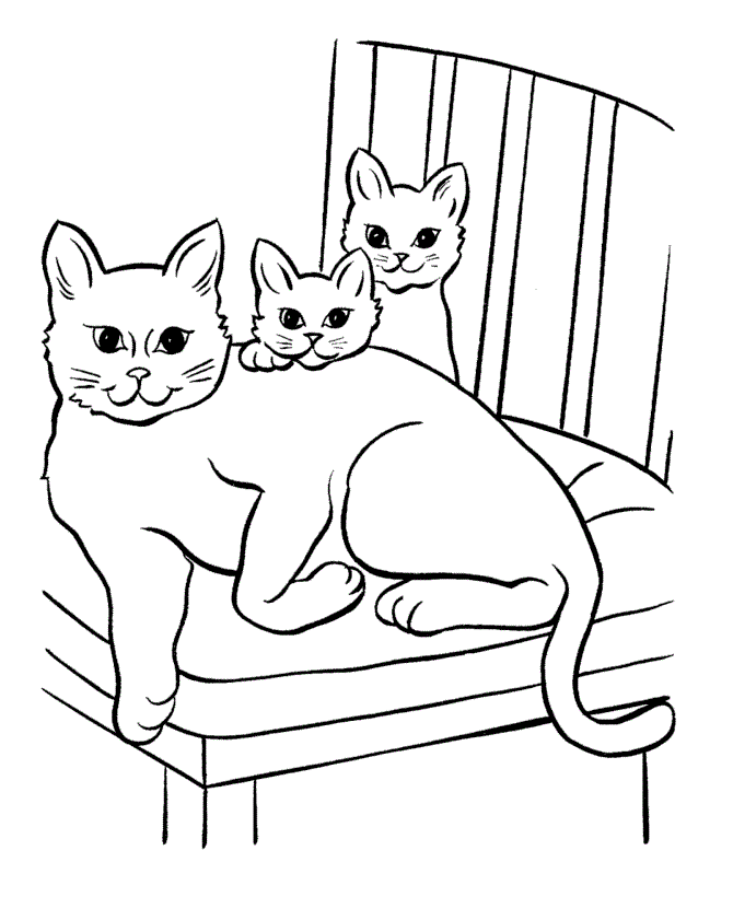 Siamese Cat coloring #9, Download drawings