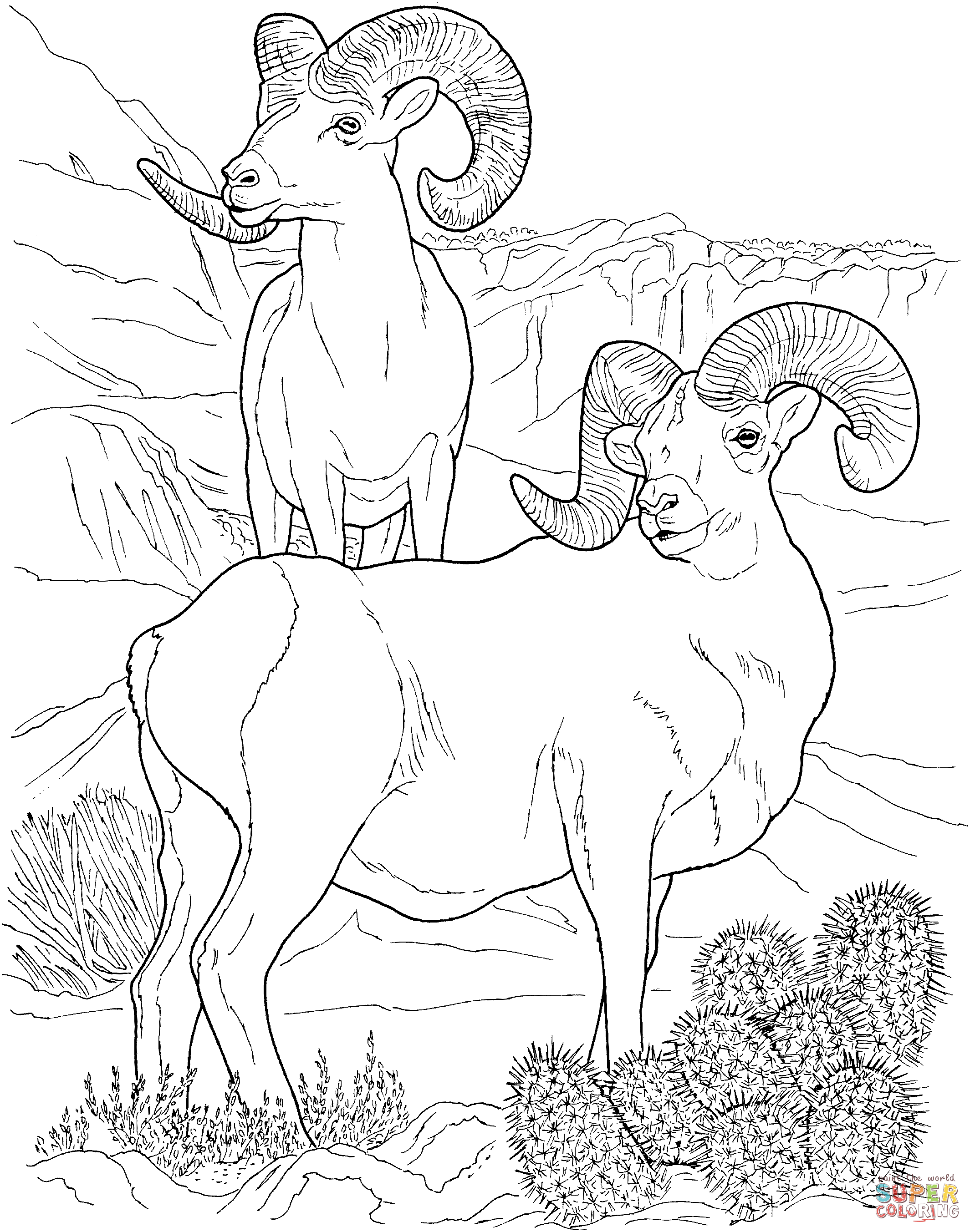 Bighorn Sheep coloring #16, Download drawings