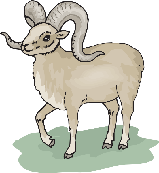 Bighorn Sheep svg #16, Download drawings