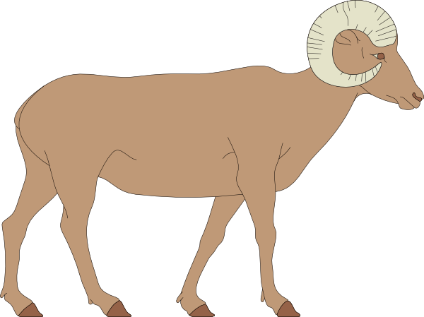Bighorn Sheep svg #17, Download drawings