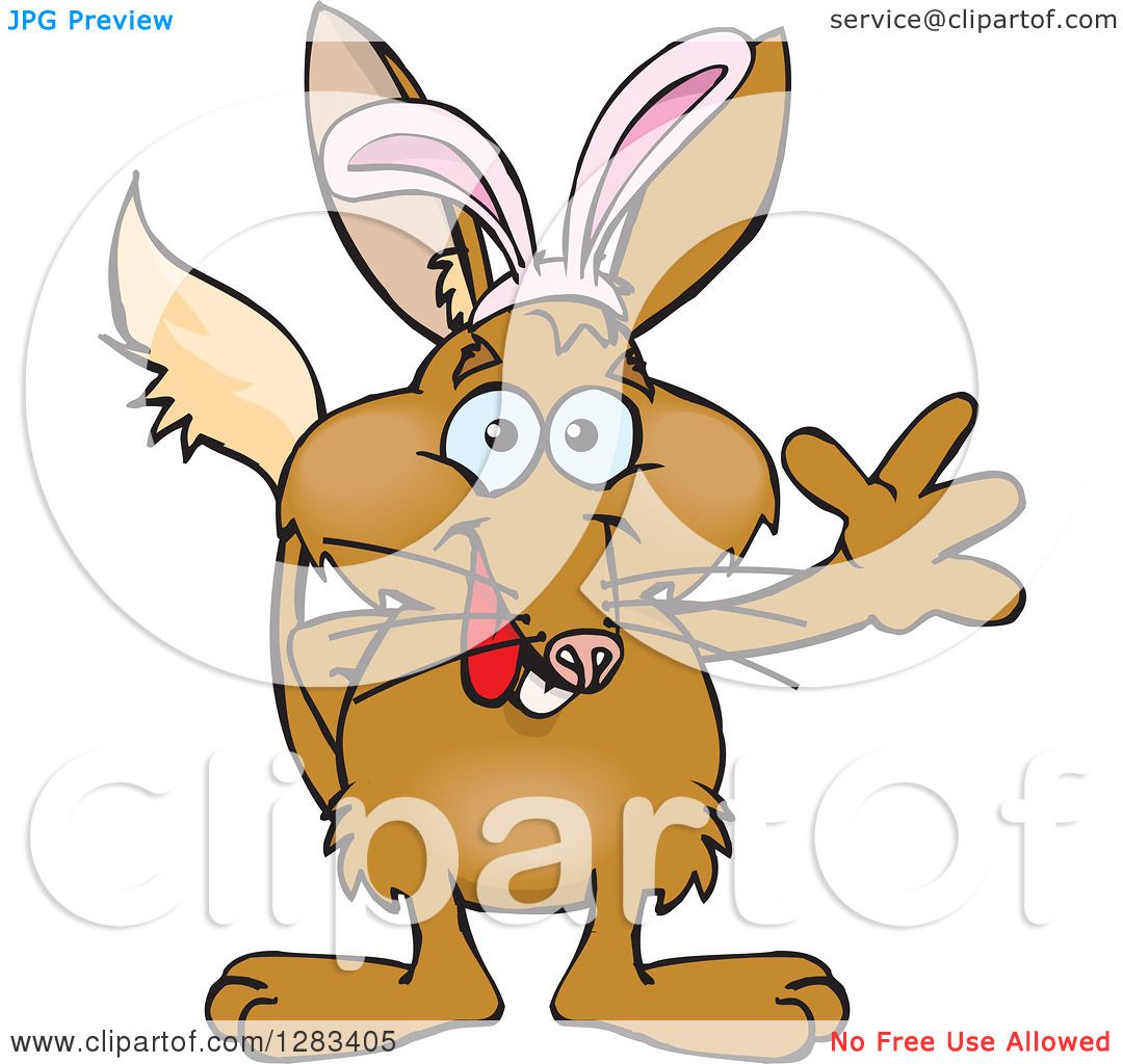 Bilby clipart #10, Download drawings