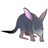 Bilby clipart #14, Download drawings