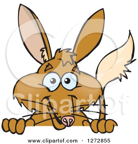 Bilby clipart #16, Download drawings