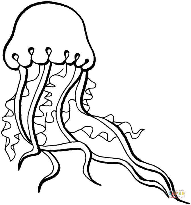 Jellyfish coloring #17, Download drawings