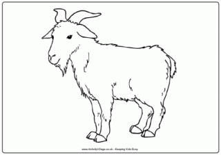 Billy Goat coloring #12, Download drawings