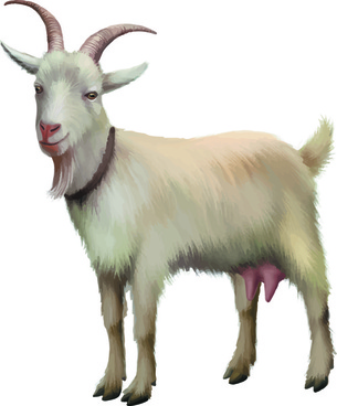 Billy Goat svg #4, Download drawings