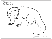 Binturong coloring #1, Download drawings