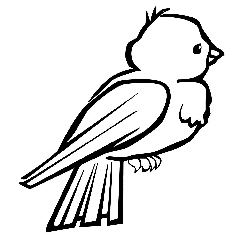 Bird coloring #13, Download drawings