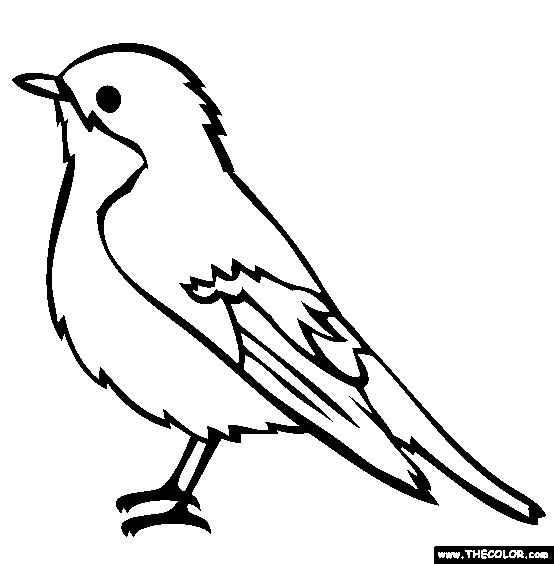 Blackbird coloring #6, Download drawings