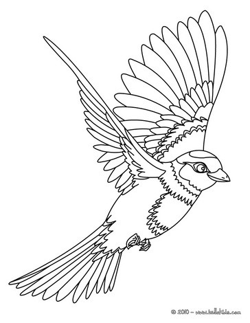 Bird coloring #2, Download drawings