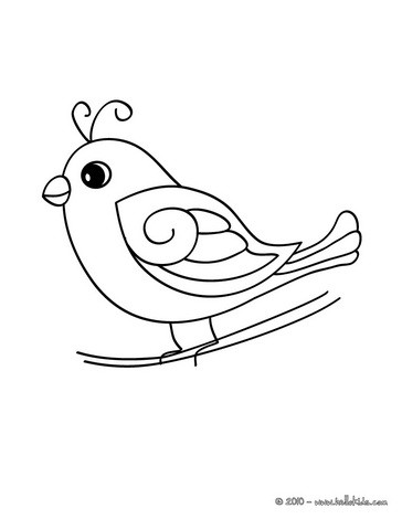 Bird coloring #16, Download drawings