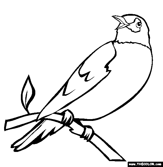 Bird coloring #19, Download drawings