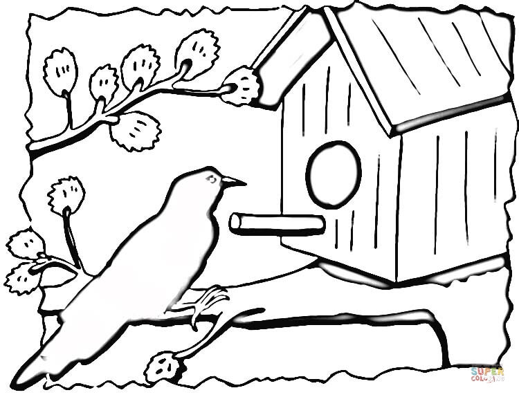 Bird House coloring #13, Download drawings