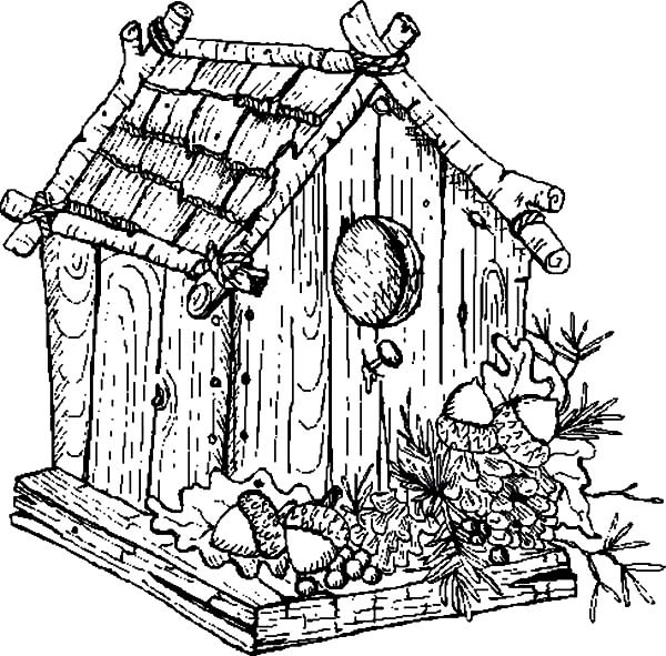 Bird House coloring #7, Download drawings