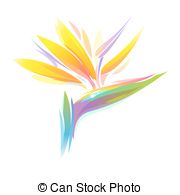 Bird Of Paradise clipart #10, Download drawings