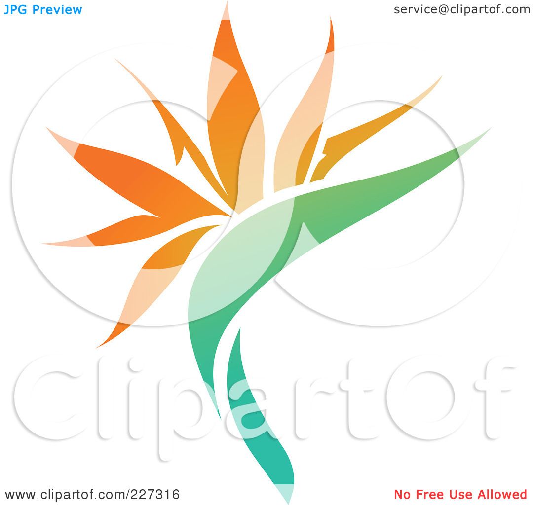 Bird Of Paradise clipart #15, Download drawings