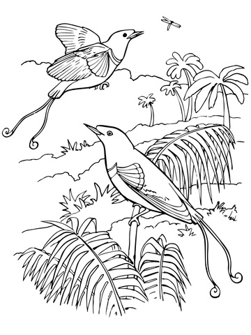 Bird Of Paradise coloring #14, Download drawings