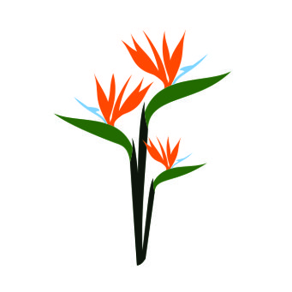 Heliconia svg #1, Download drawings
