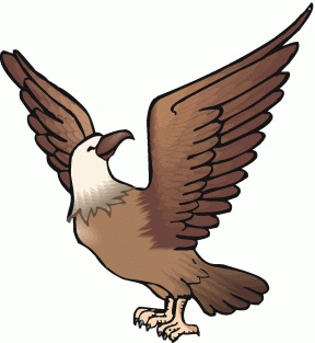 Bird Of Prey clipart #18, Download drawings