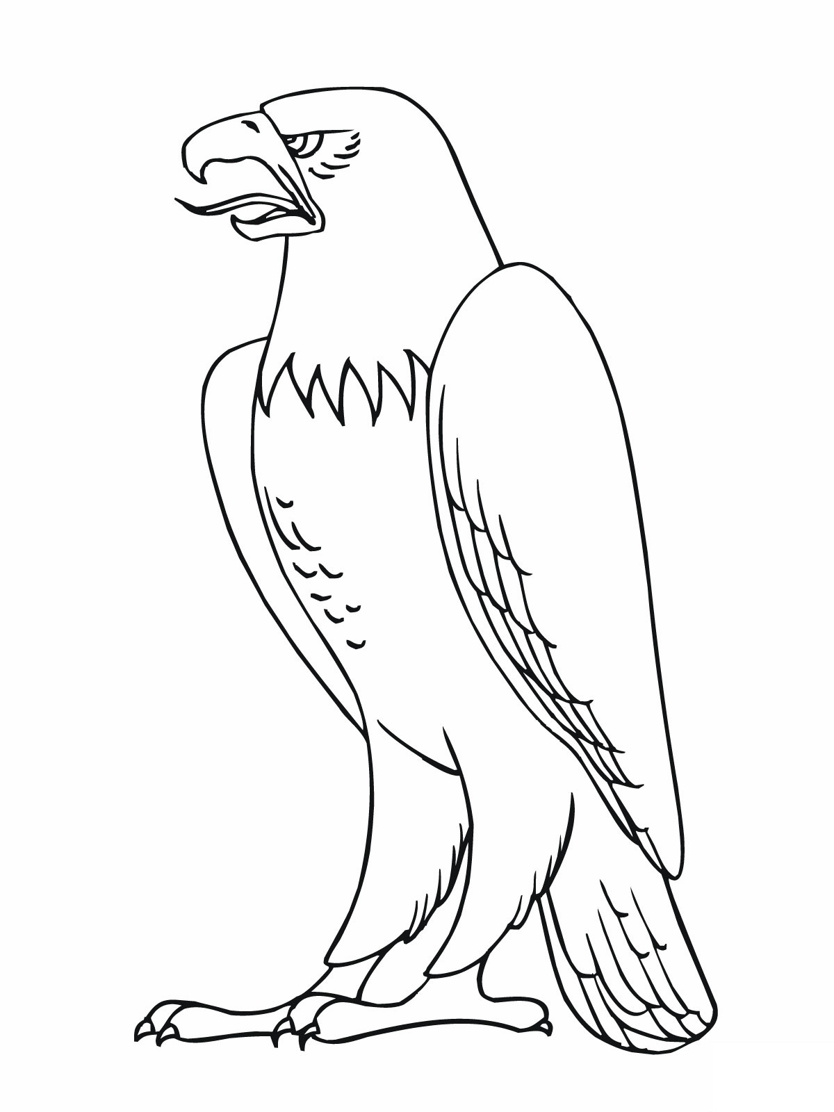 Bird Of Prey coloring #3, Download drawings