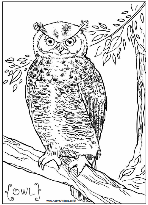 Bird Of Prey coloring #8, Download drawings