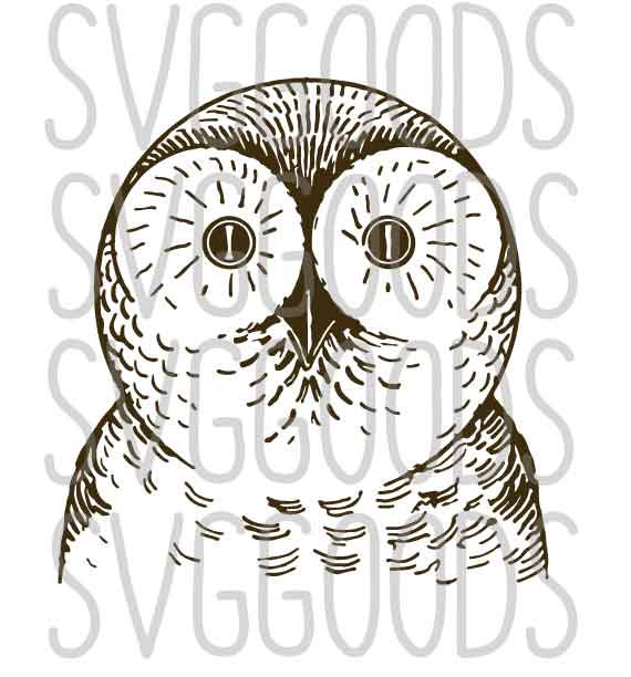 Bird Of Prey svg #10, Download drawings