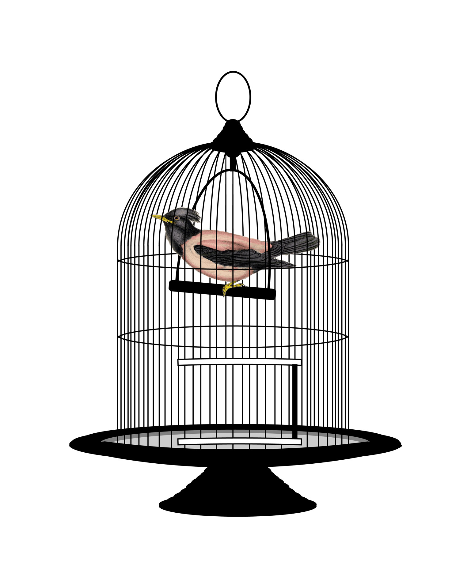 Birdcage clipart #6, Download drawings