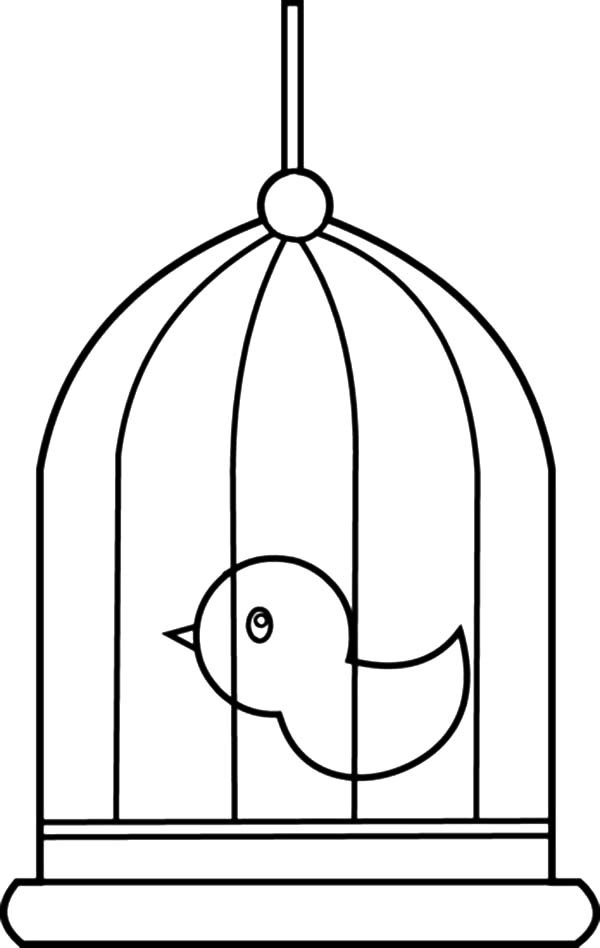 Birdcage coloring #2, Download drawings