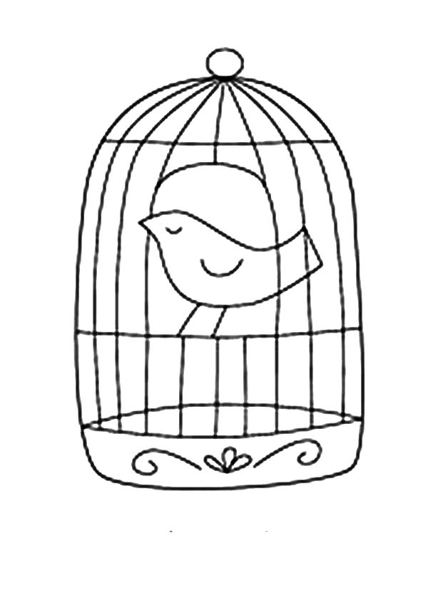 Birdcage coloring #11, Download drawings