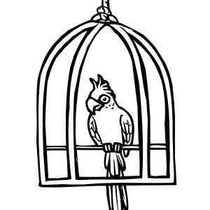 Birdcage coloring #10, Download drawings