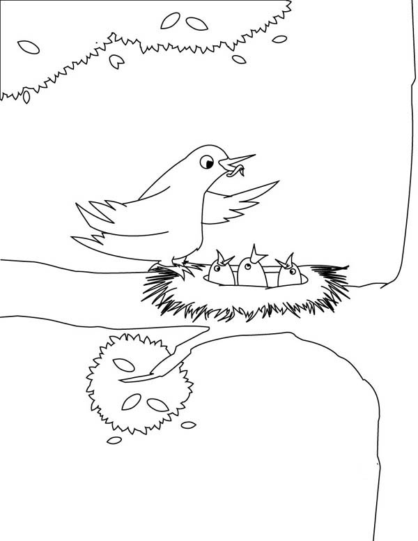 Birdfeeding coloring #20, Download drawings