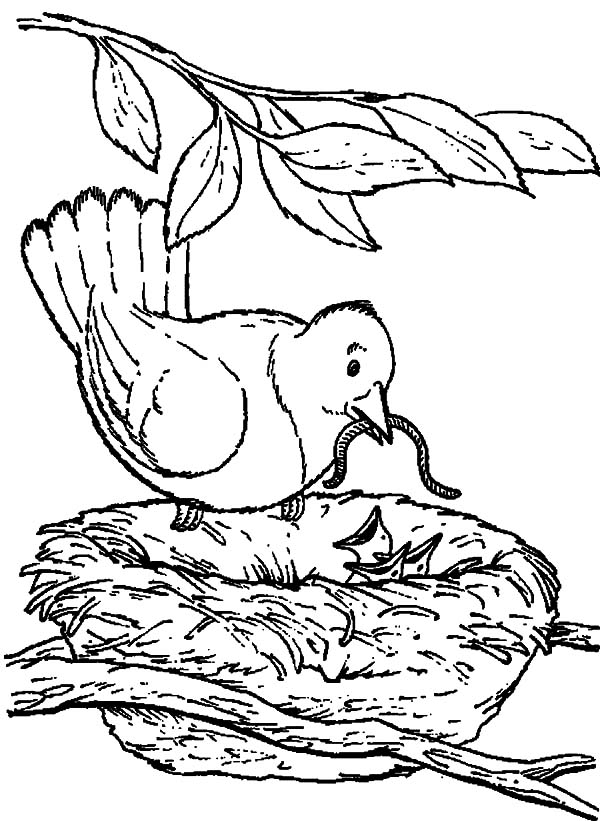 Birdfeeding coloring #18, Download drawings