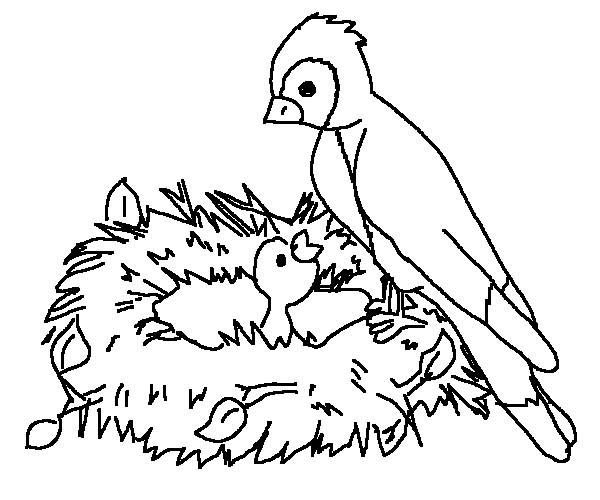 Birdfeeding coloring #17, Download drawings