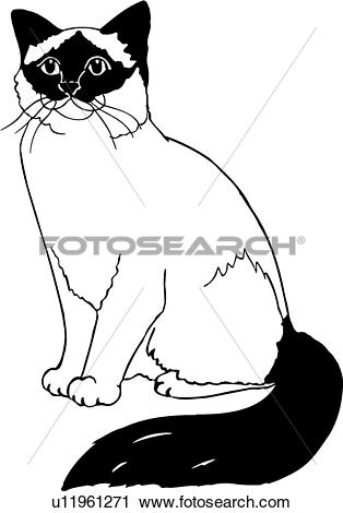 Birman Cat clipart #7, Download drawings
