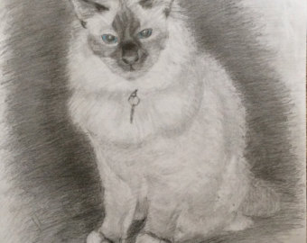 Birman Cat svg #8, Download drawings