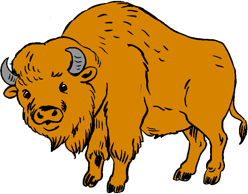 Bison clipart #17, Download drawings