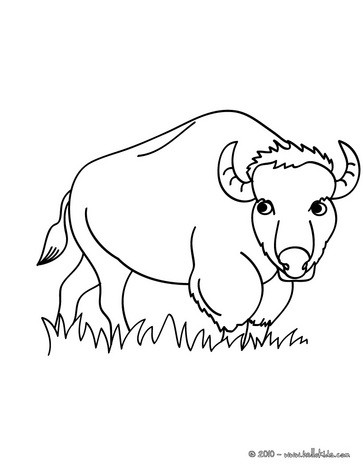 Bison coloring #1, Download drawings