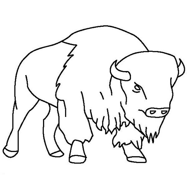 Bison coloring #3, Download drawings