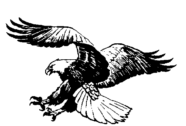 Black Eagle clipart #10, Download drawings