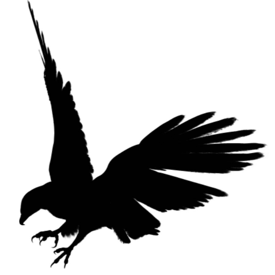 Black Eagle clipart #15, Download drawings