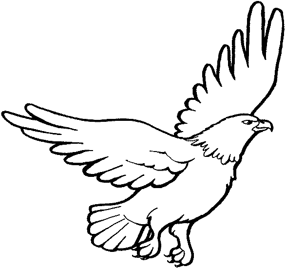 Phillipine Eagle coloring #4, Download drawings