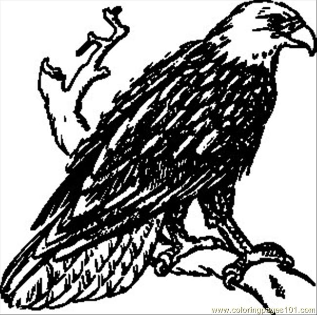 Black Eagle coloring #15, Download drawings