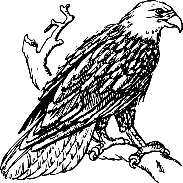 Black Eagle svg #2, Download drawings