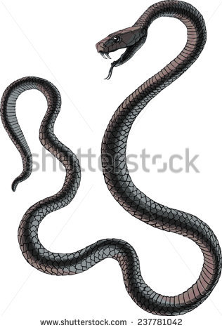 Grass Snake svg #20, Download drawings
