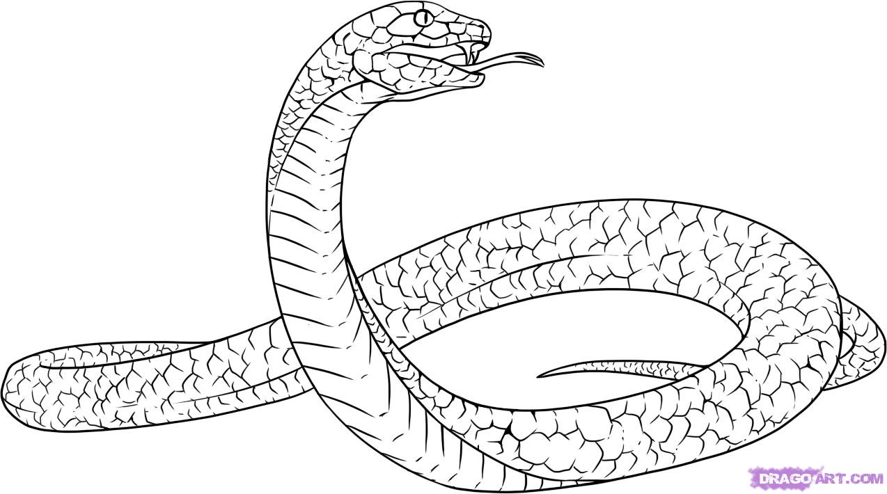 Grass Snake coloring #3, Download drawings