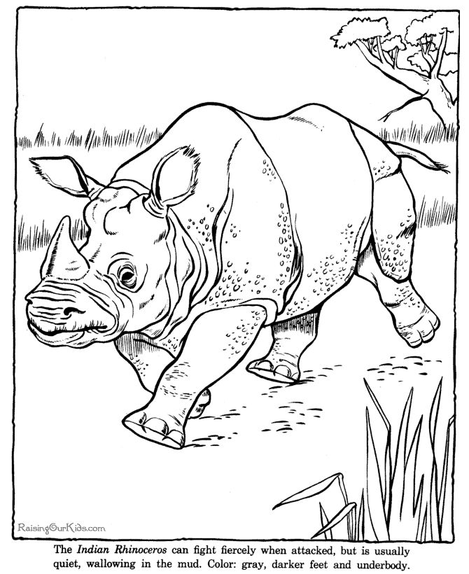 Charging Rhino coloring #3, Download drawings