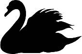 Black Swan clipart #16, Download drawings