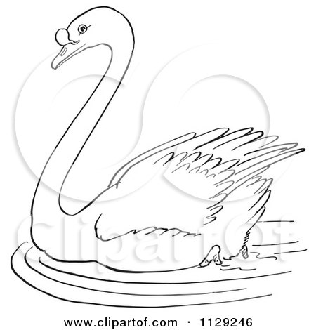 Black Swan coloring #5, Download drawings