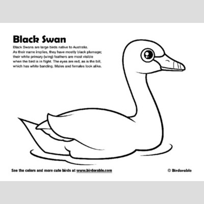 Black Swan coloring #3, Download drawings